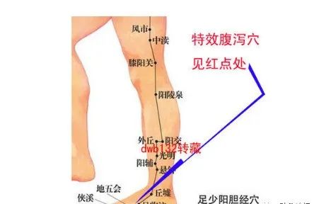 腹泻的特效新穴位