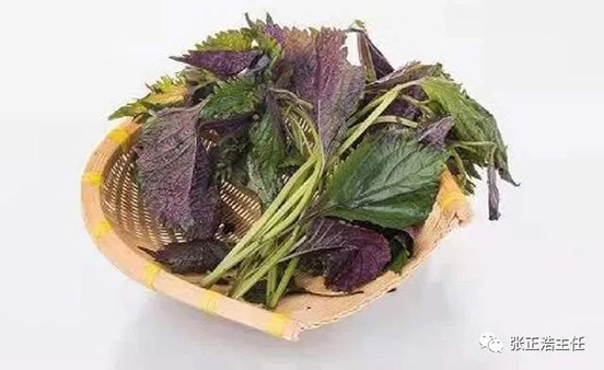 紫苏：纯阳之草，能把全身的寒气都带走