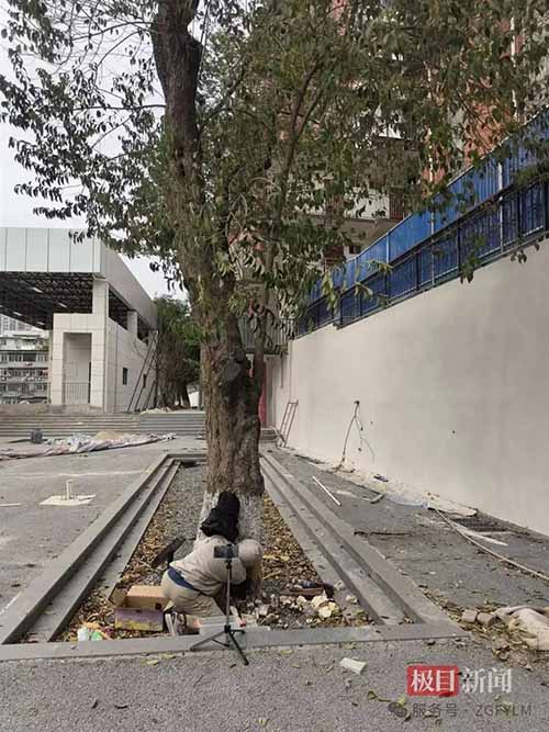 微信图片_20250801173306.jpg