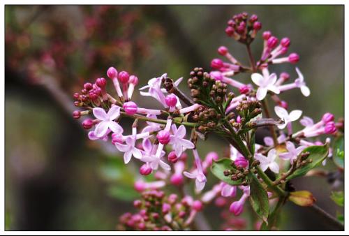 1760874310107504.jpg 1740229129151205.jpg